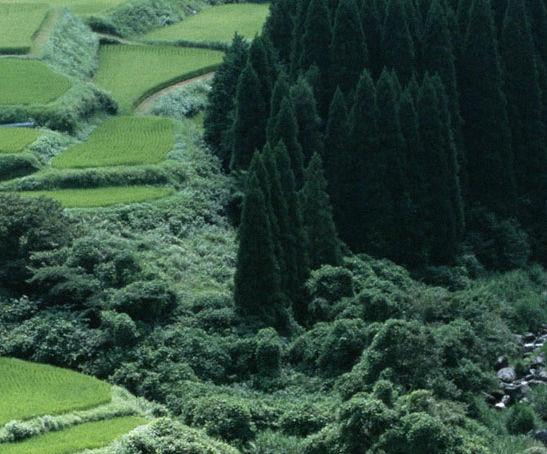 杂谈游戏电台