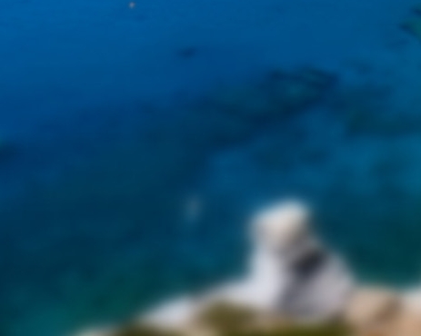 又简单又好看的画