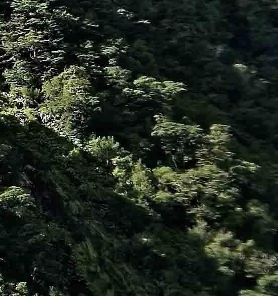 歌曲云中的泸沽湖