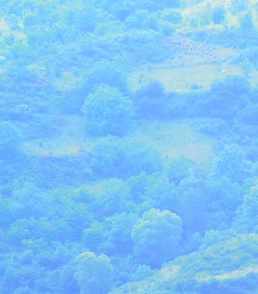 小白测评商城