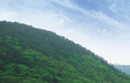 范范聊职场直播，静聊职场，两种风格，一同探讨职场经验