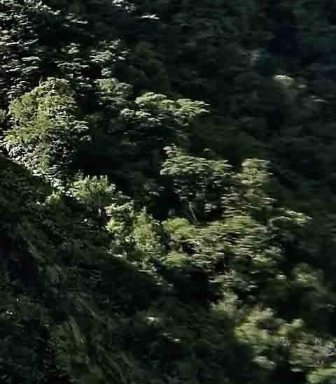 探索海底世界白山与海底世界馆，开启神秘海底之旅！
