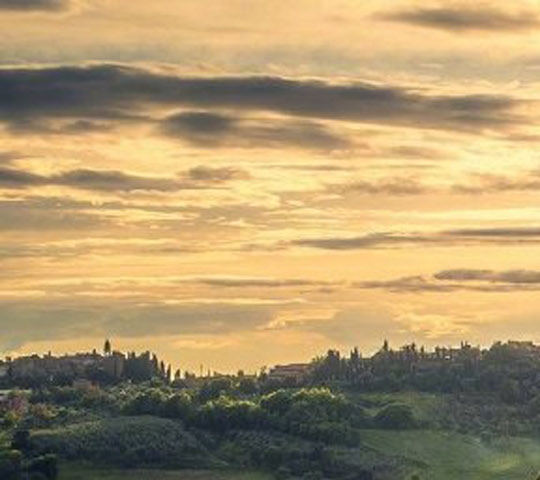 外面的世界爵士版