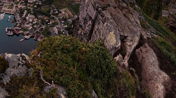 天津科学技术馆官网