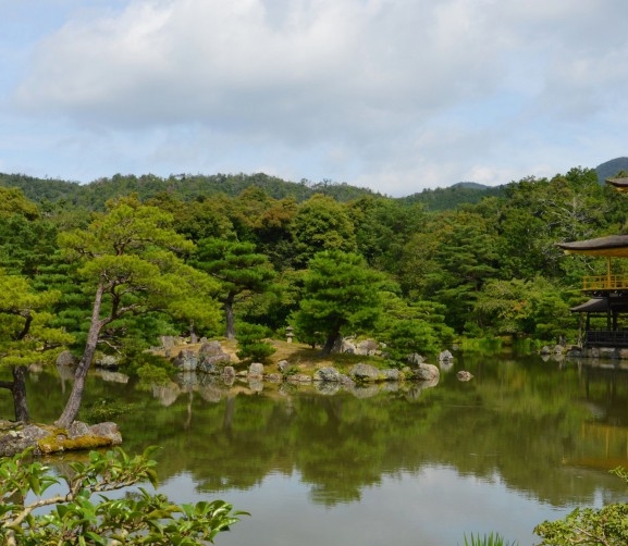 浏阳烟花产品展示