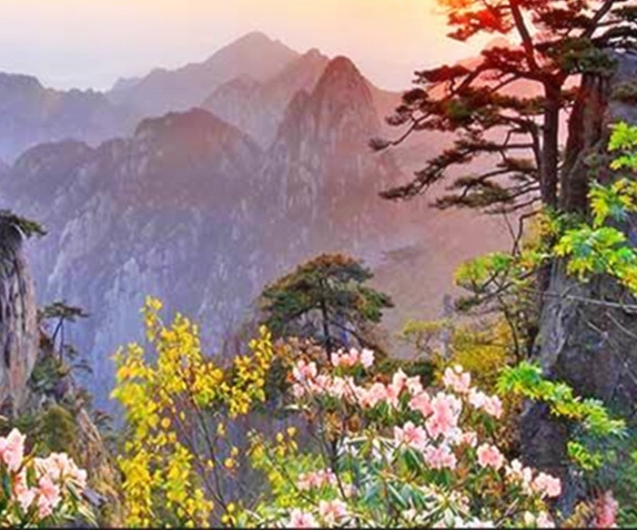 古代核心哪里出