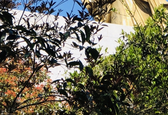 女友带路，职场新人快速成长 或 职场新手攻略：师傅教你不如女友指点