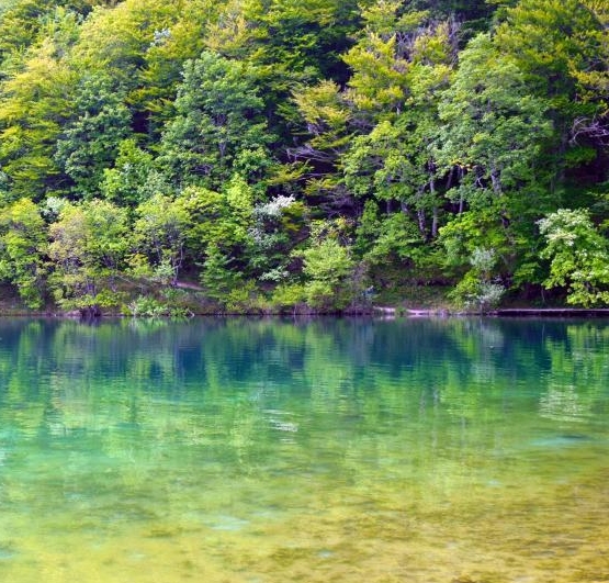 新手妈妈重返职场