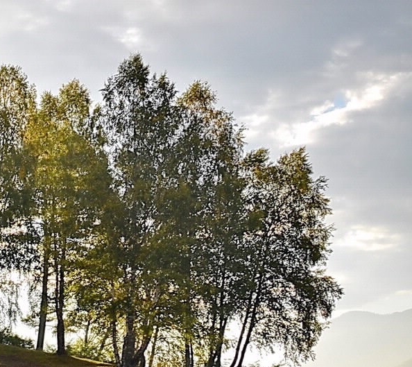 地都冬菜怎么做好吃