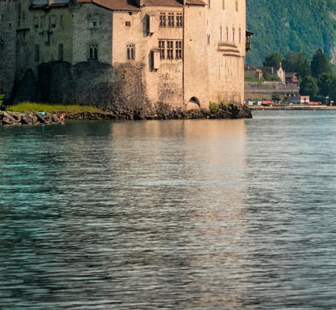 陨星和蓝毒哪个好