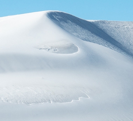 资本来到世界上