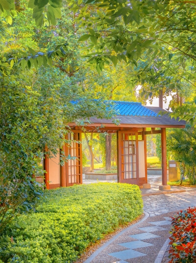 橘子做水果拼盘图片