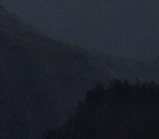 神奇动物世界