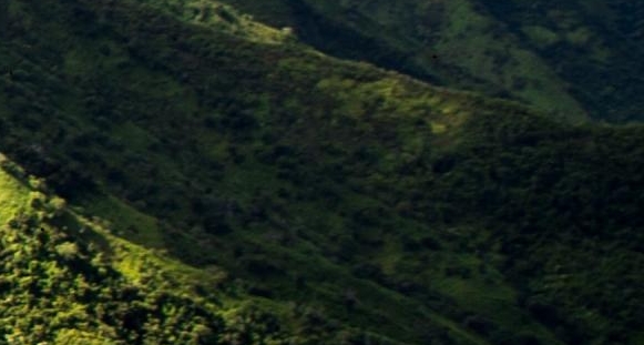 电影世界中的生活