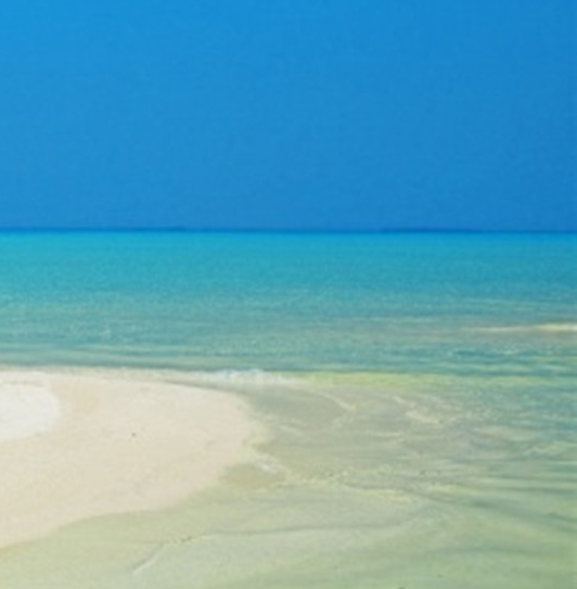 向科研人员家人致敬