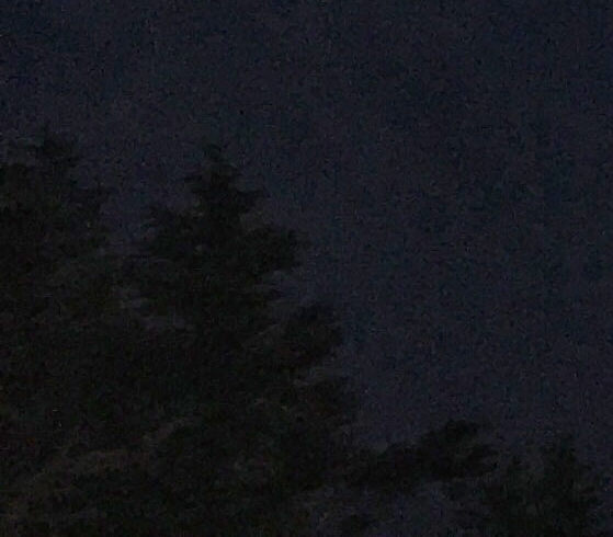 榉木创意衣帽挂钩：实用美观，为家居增添温馨气息