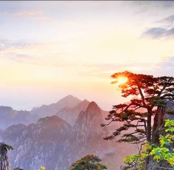 智冠科技