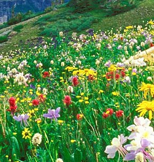 2019男篮世界杯中国vs尼日利亚回放