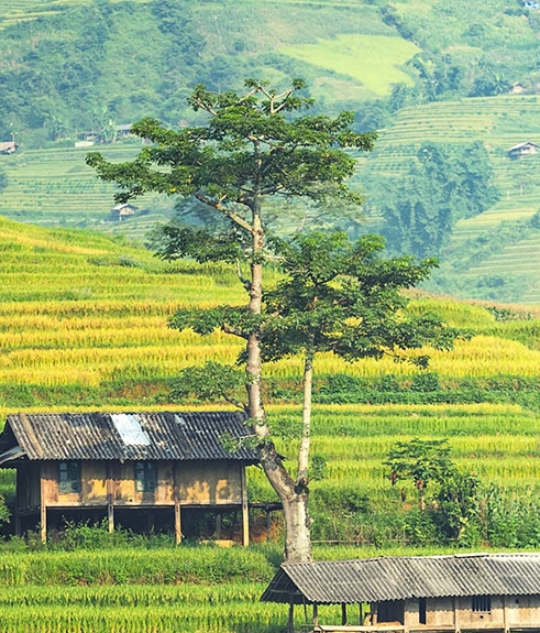 滴普科技胡鑫