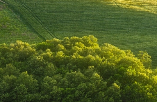 世界上有外星人吗