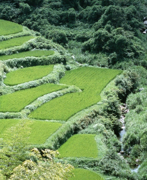 清远金发科技股份有限公司