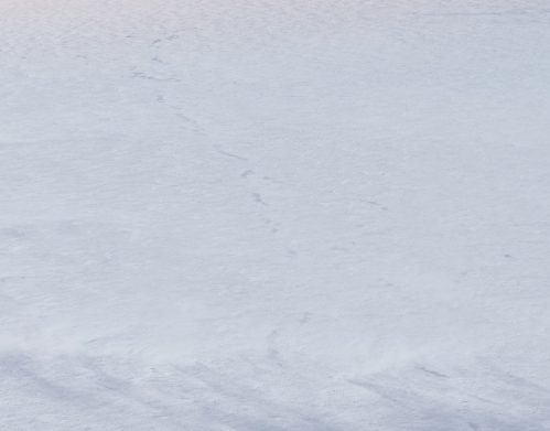 世界真奇妙下一句