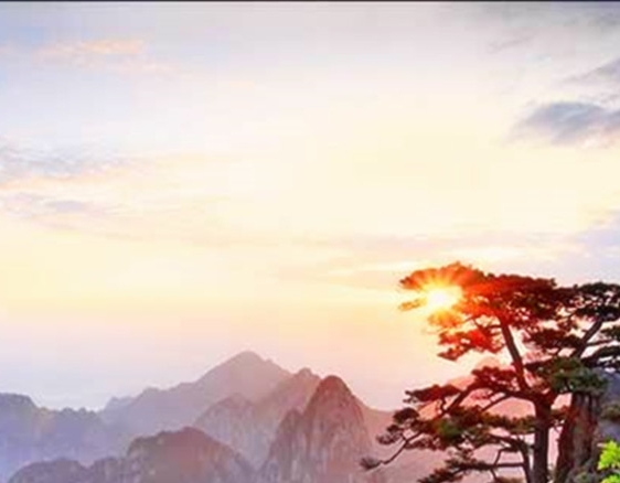 杭州泽天科技有限公司