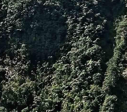 广东科技学院地址电话