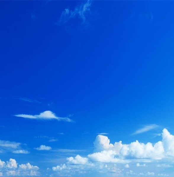 世界脑力锦标赛记忆大师
