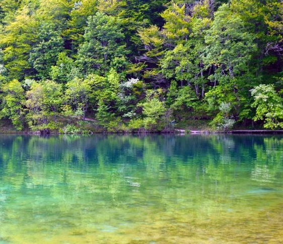 探索饥荒远古科技：揭秘神秘文明遗迹，解锁失传技艺，重现荒野求生之道