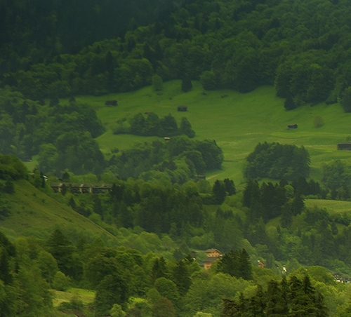 我还是有点小糊涂