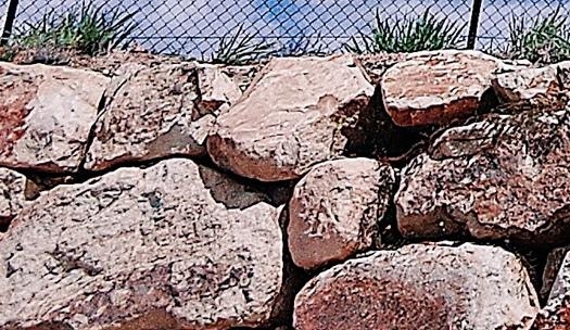 上海科技博物馆开放时间和门票费