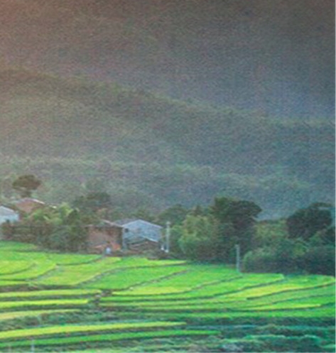 科学世界杂志官网