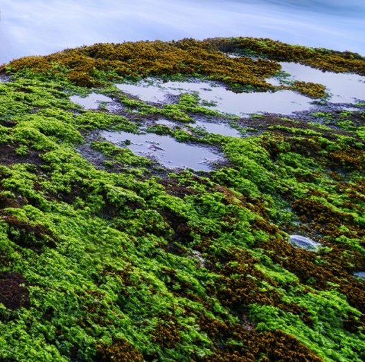 都市之科技狂人群八零下载