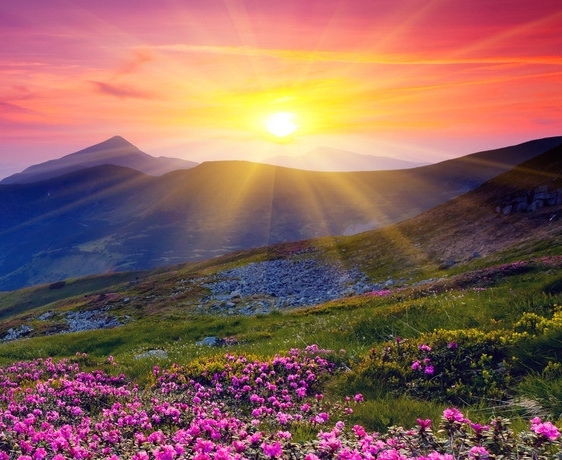 三立人深圳科技有限公司