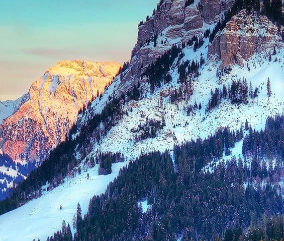 科技辅导员创新成果项目报告