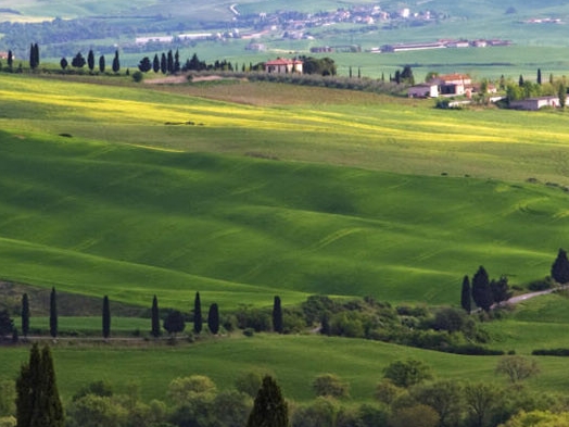 科技让生活更美好作文