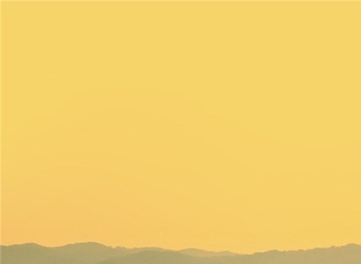 跳水世界杯赛程