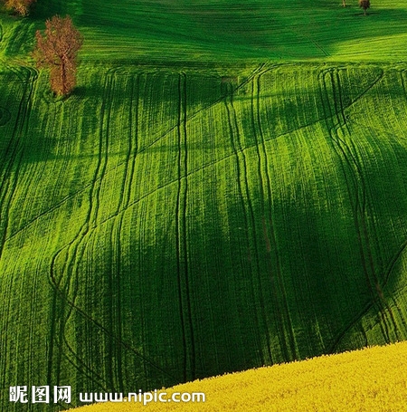 山西省科技计划管理信息平台