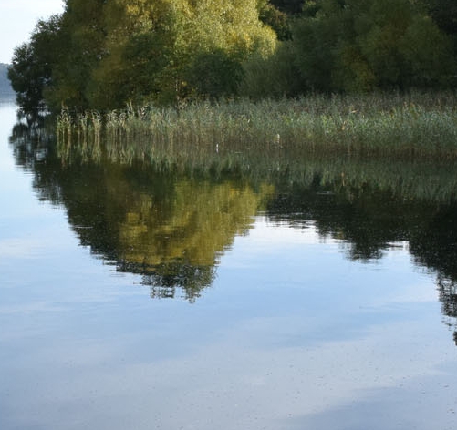 通达科技厦门车间照片