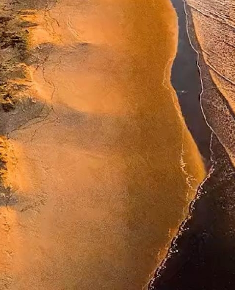 世界贸易组织旗帜图片