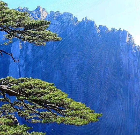 观看世界上最大的虫子视频，揭秘这神秘巨型生物究竟是何种虫子！