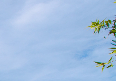 南安香草世界什么时候去最合适