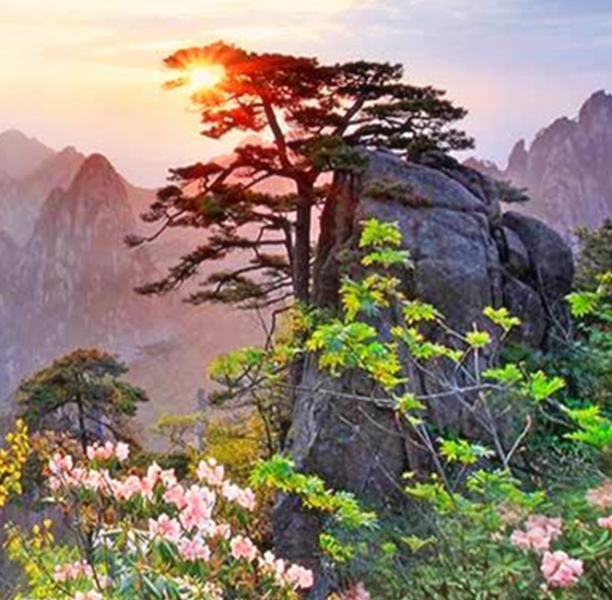 交控科技股份有限公司待遇怎么样