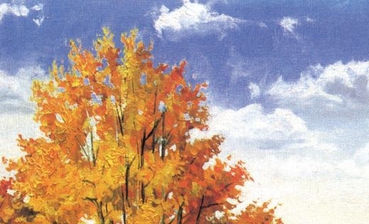 广东泰宝医疗科技股份有限公司广州分公司