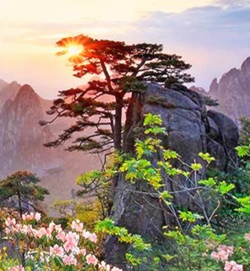 智慧湾创意产业园