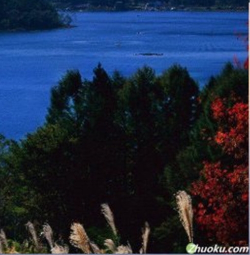 福建师范大学闽南科技学院官网