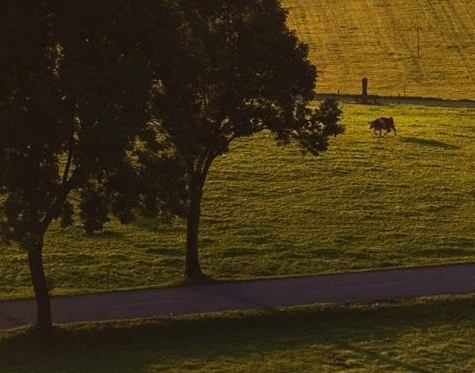 世界摄影日的来历