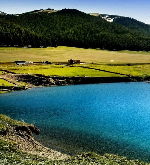 汇金科技(300561)股吧