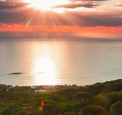 全世界都知道我爱你唯独你没懂